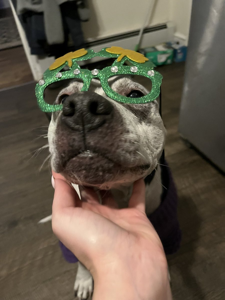 Audrey Renée Bentley tweet media