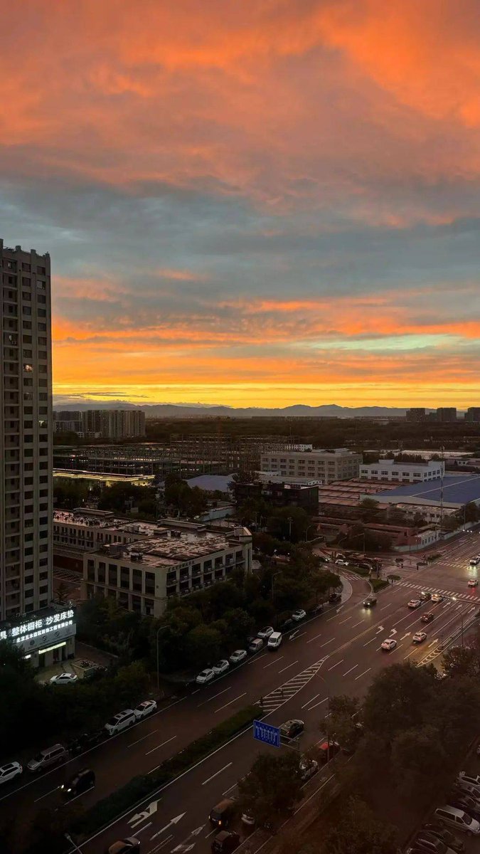 Paulista Snidman tweet media