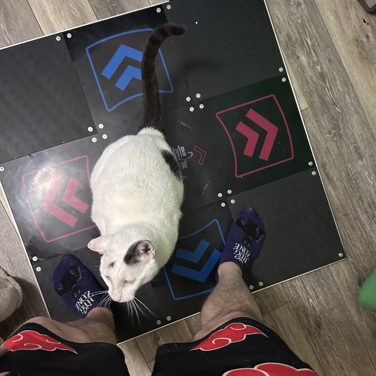 Devin 🖤 tweet media