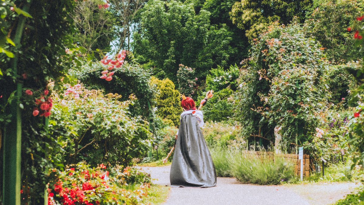 𝙎𝙊𝙉𝘼. tweet media