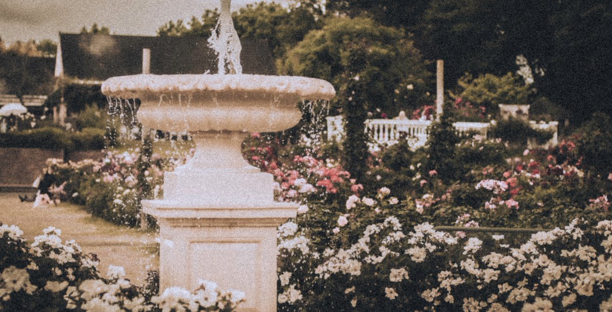 𝙎𝙊𝙉𝘼. tweet media