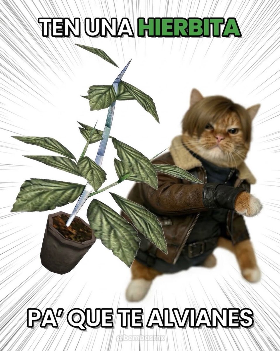 El Fedelobo tweet media