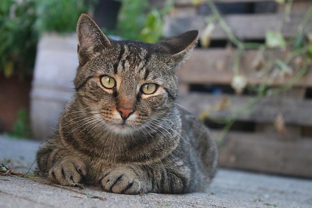 Tim Broad tweet media