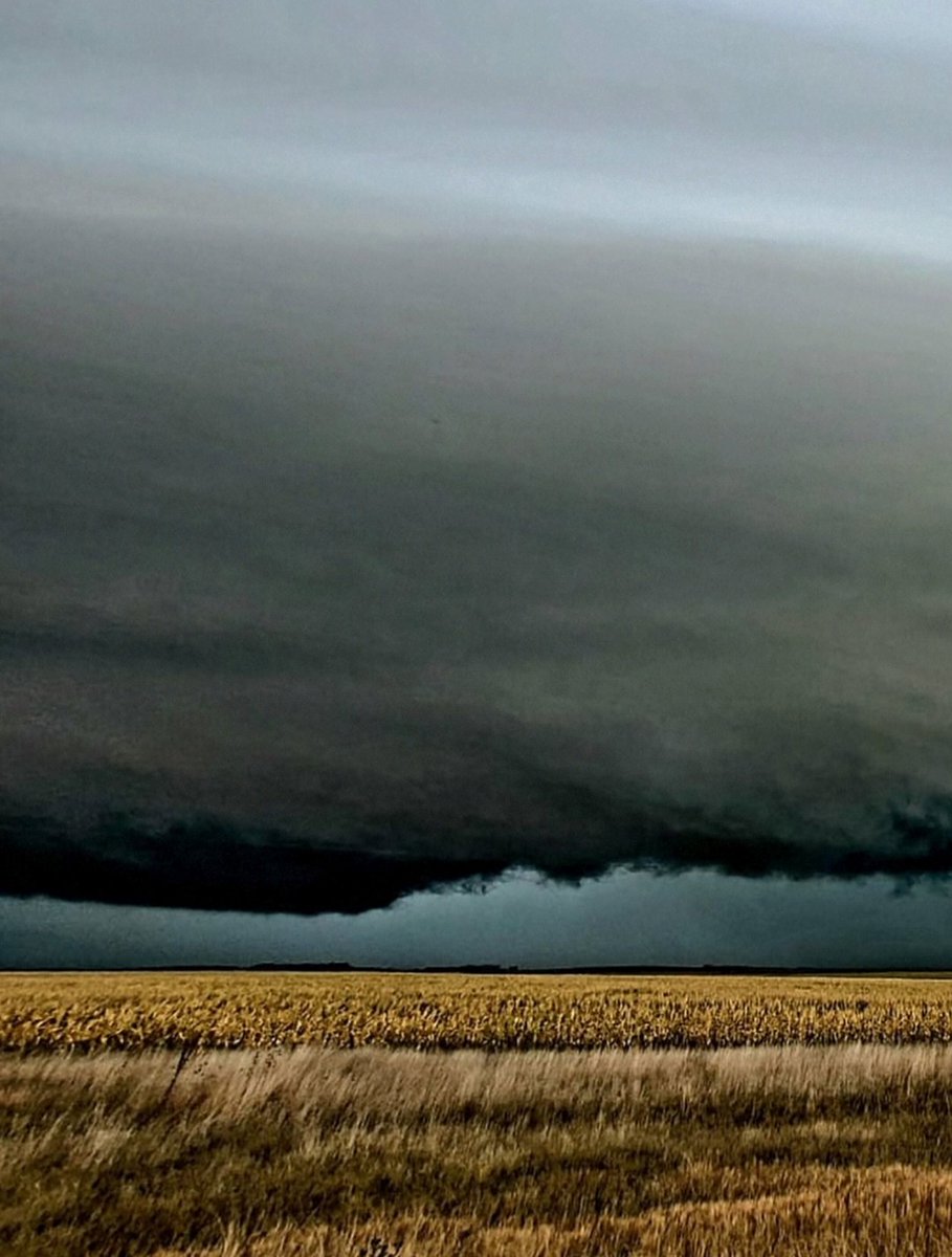 JuaniAyoroaOK's tweet image. ESTRUCTURA DE UNA TORMENTA📷☁️
&amp;gt; Fotos tomadas hoy más temprano en la zona de Azul del avance de la línea de inéstabilidad.
&amp;gt; Cuando veas algo así, probablemente haya ráfagas de viento, lluvia fuerte/intensa y granizo. 
&amp;gt; Créditos a los autores.
#Azul #tormenta #LaPlata #AMBA