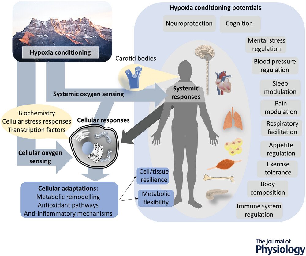 Zib Atkins tweet media