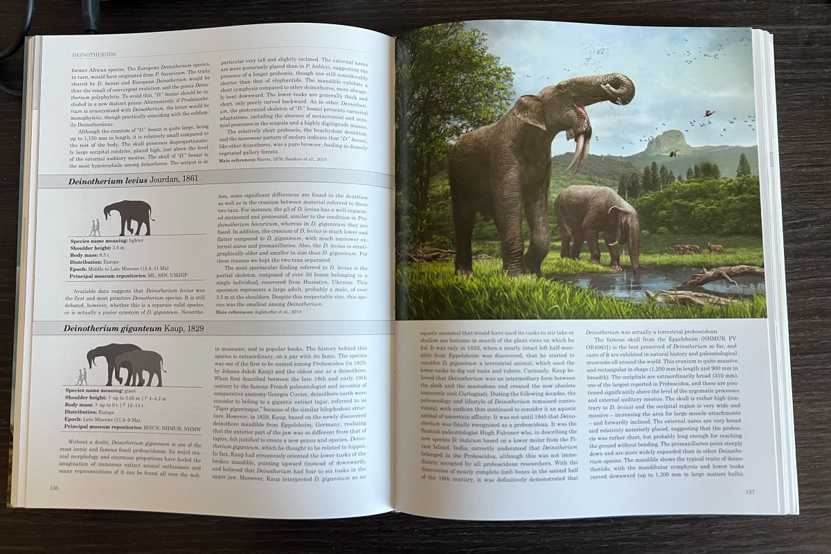 Eofauna Scientific Research tweet media