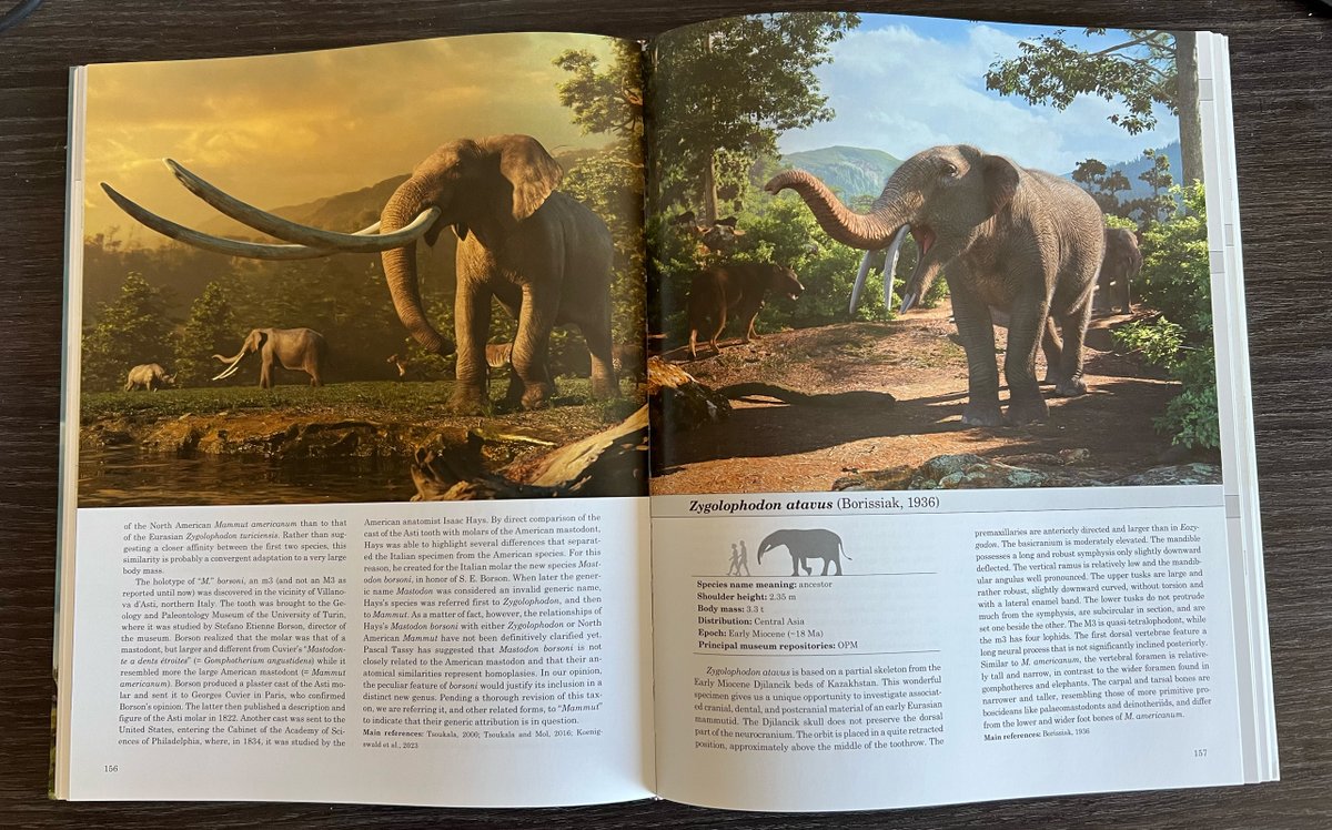 Eofauna Scientific Research tweet media