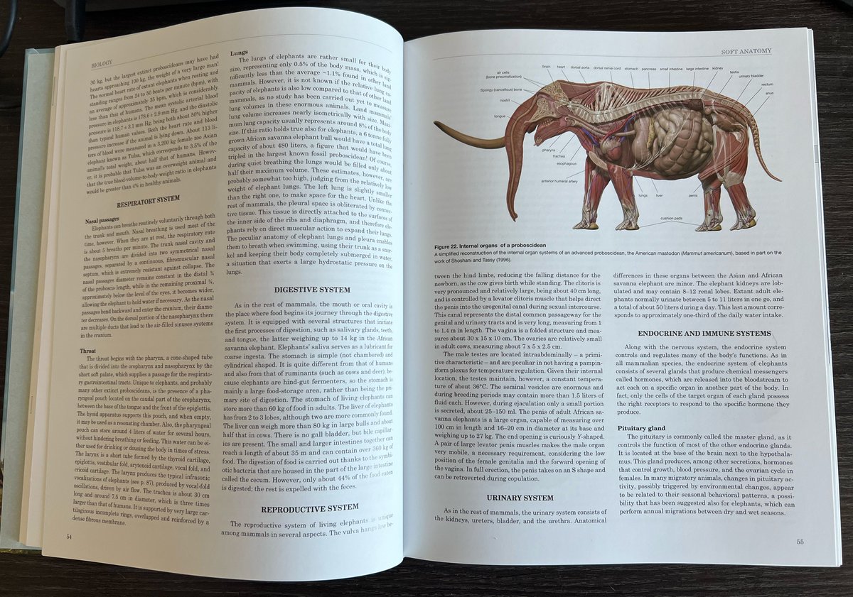 Eofauna Scientific Research tweet media