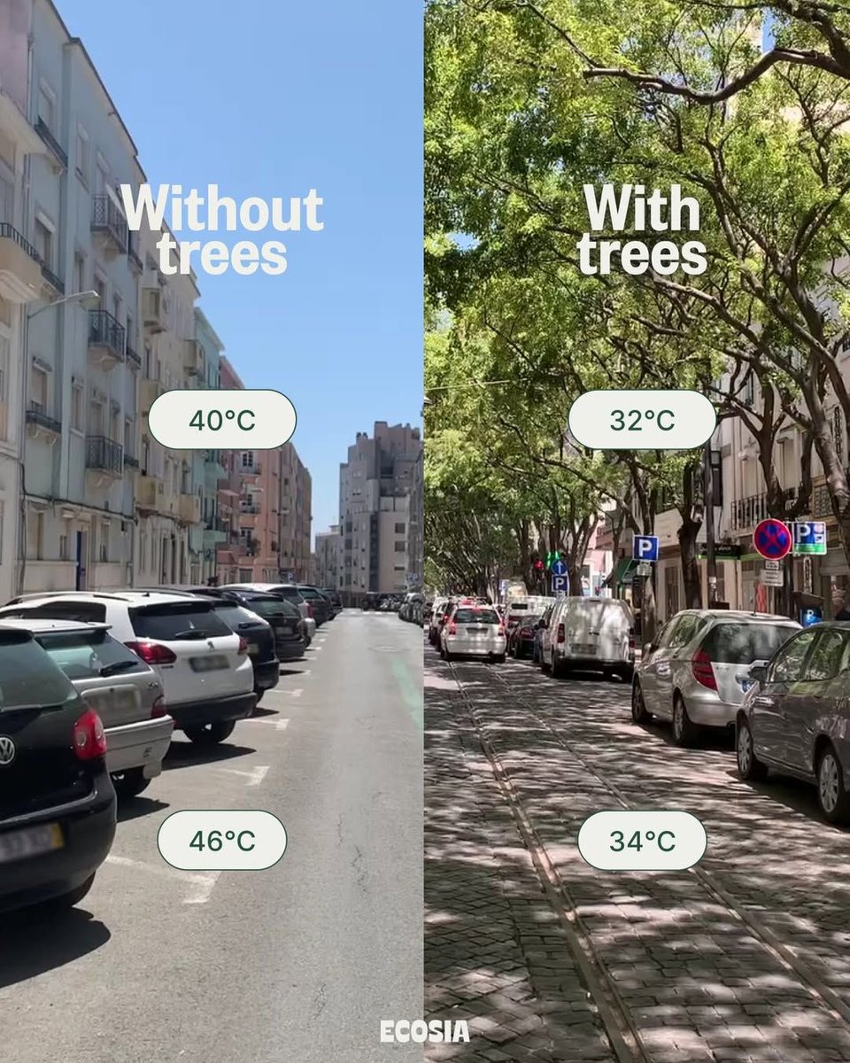 𝘤𝘢𝘣𝘪𝘯 𝘷𝘪𝘴𝘶𝘢𝘭𝘴 ❁࿐❁ tweet media