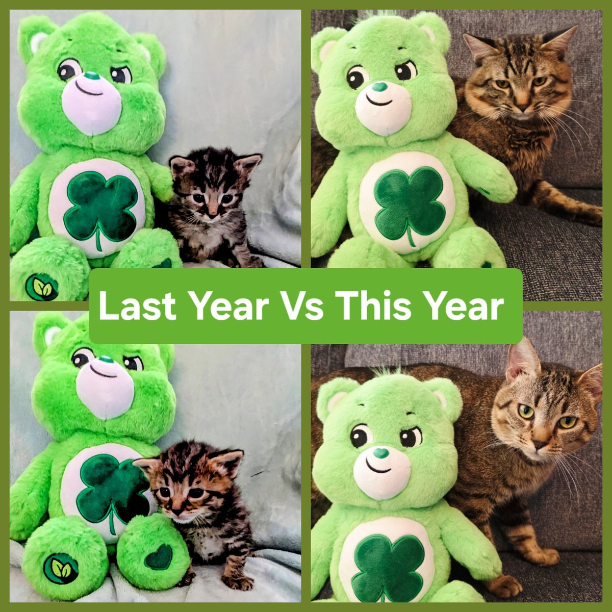 What a difference a year makes! Happy St. Patrick's Day!