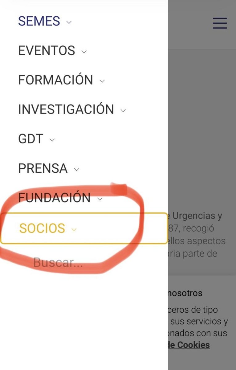 Y mañana a las 18 se cierran las votaciones para la nueva junta presidencial. Solo hay que entrar en la zona de socios
semes.org