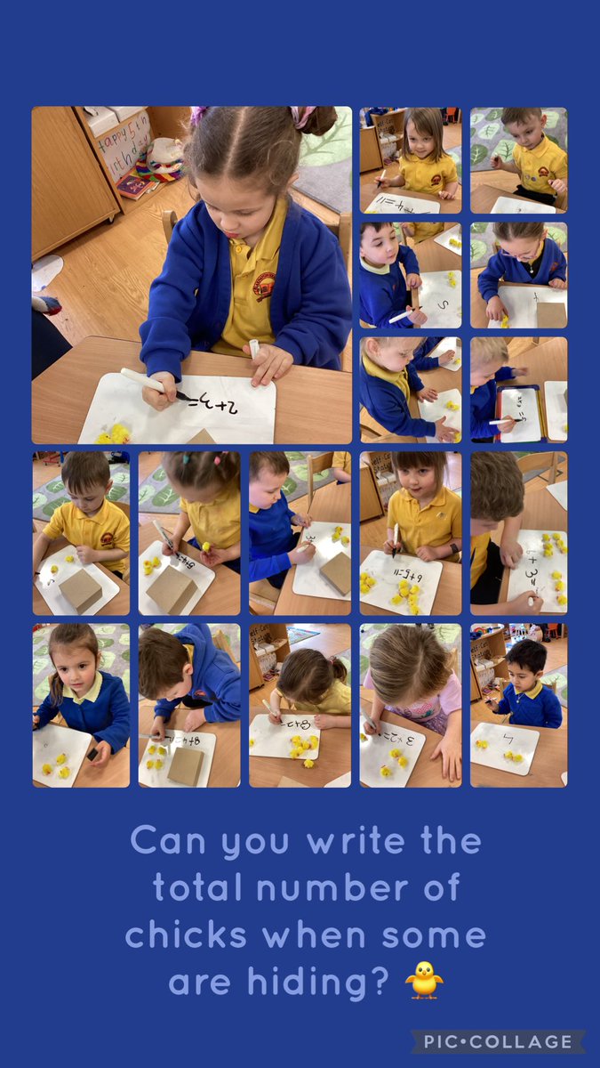 BHVC Primary tweet media