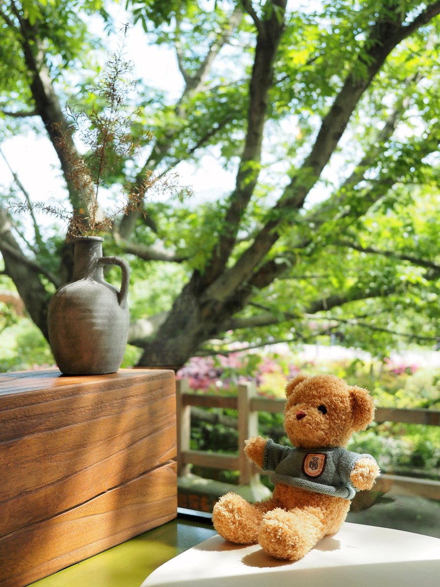 Amber Ashai tweet media