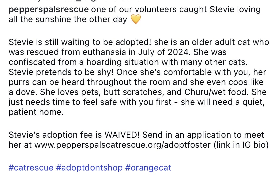 norberg & co tweet media