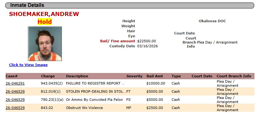 OkaloosaSheriff tweet media