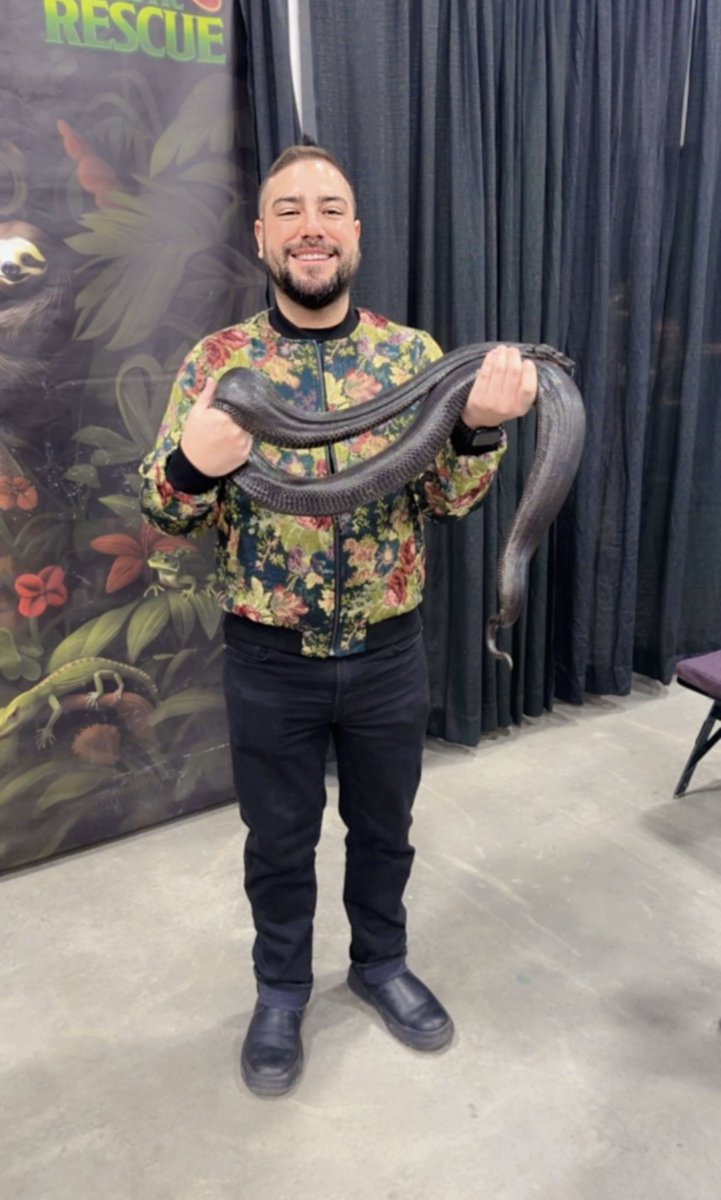 Its Britney Bitch 🐍