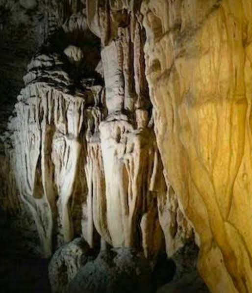 NCC Directorate North Eastern Region tweet media