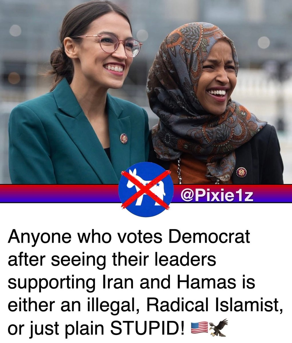 Anyone who votes democrat hates America.