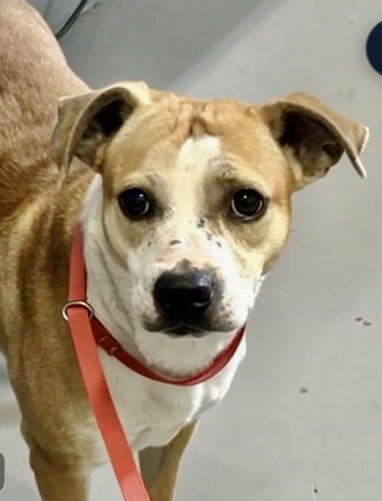 Cheryl Ramirez tweet media