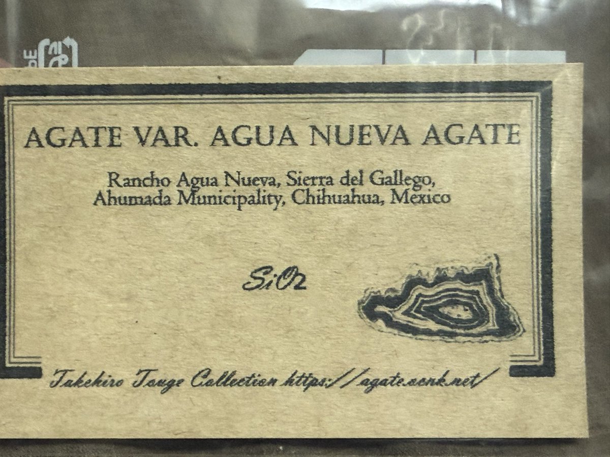 グンマー tweet media