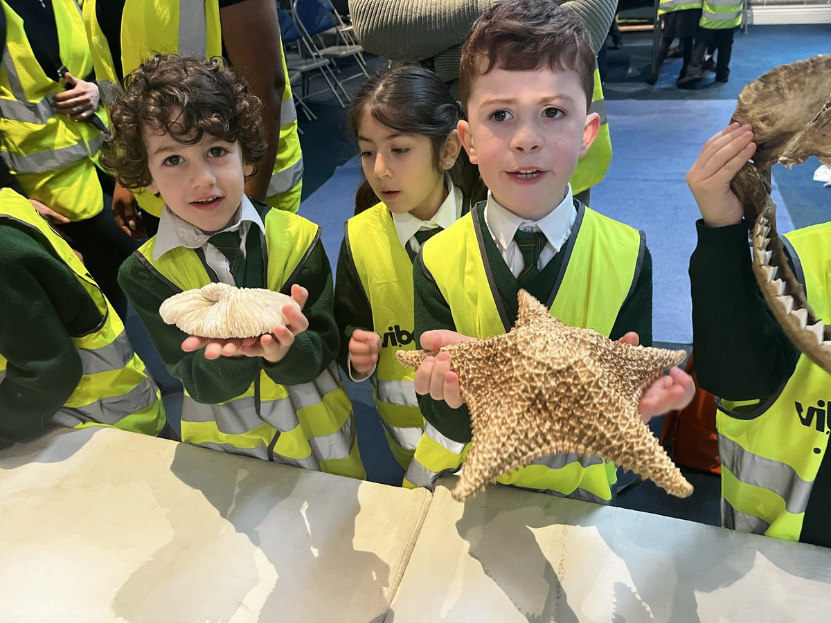 St Andrew's tweet media