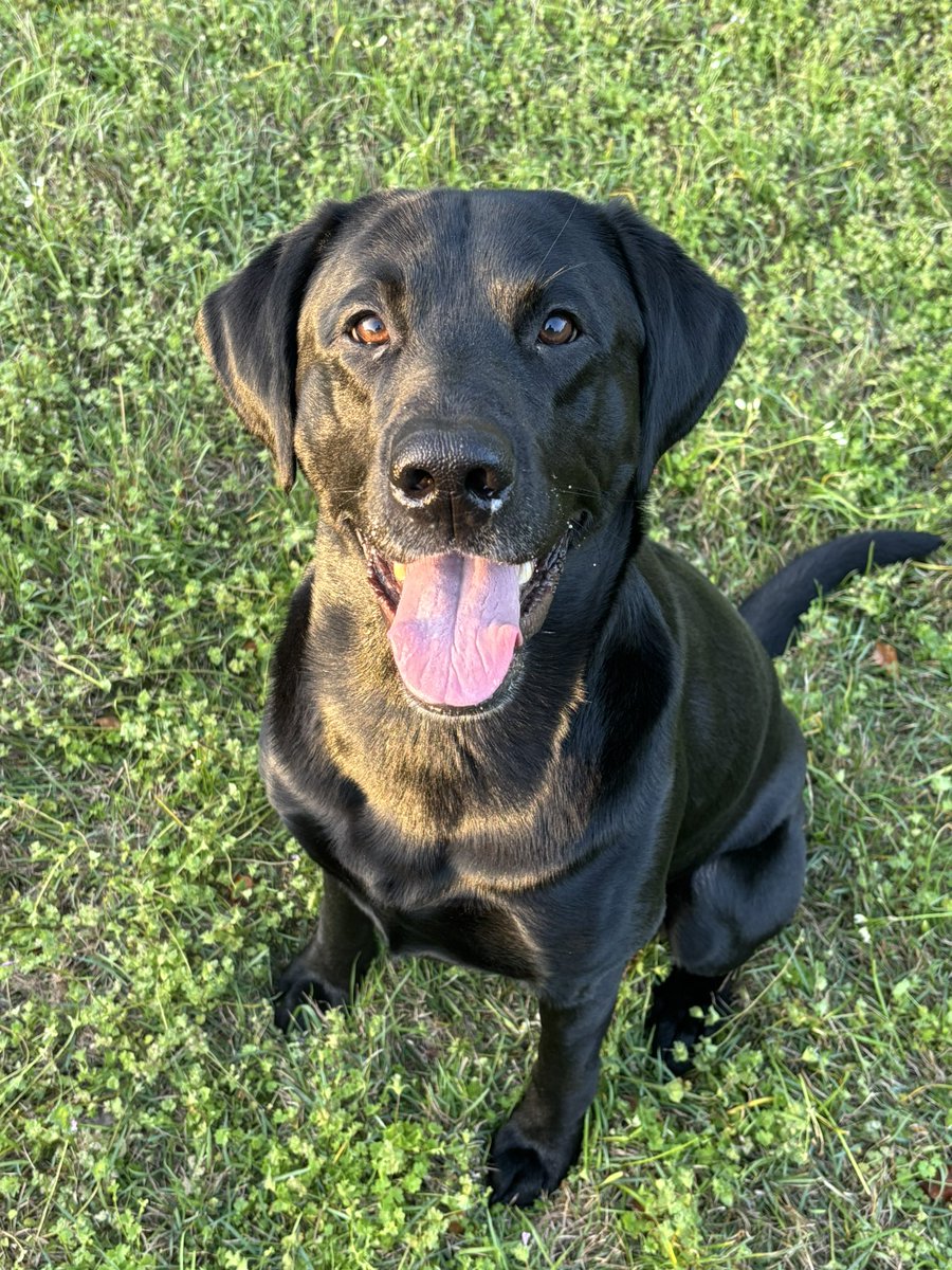 Jeremiah Mincey tweet media