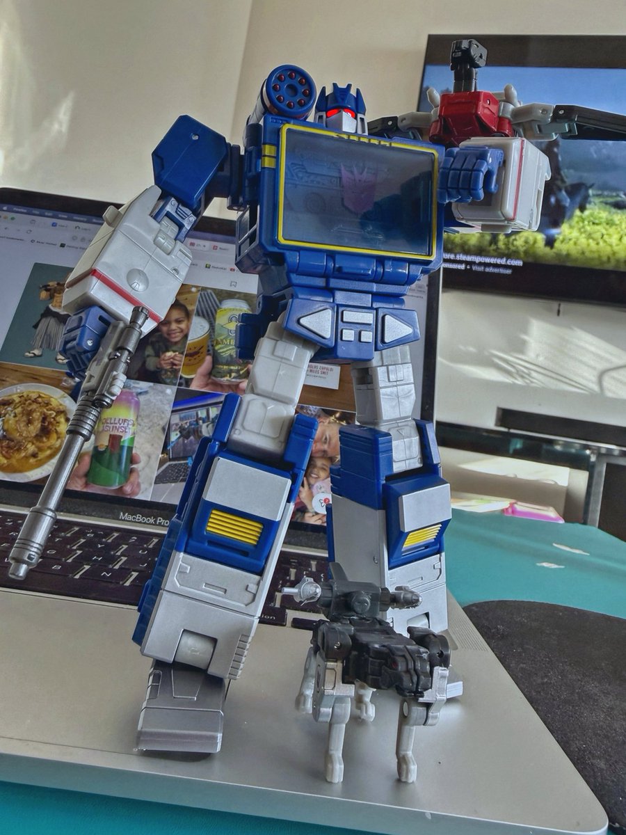 LEVEL 13 tweet media