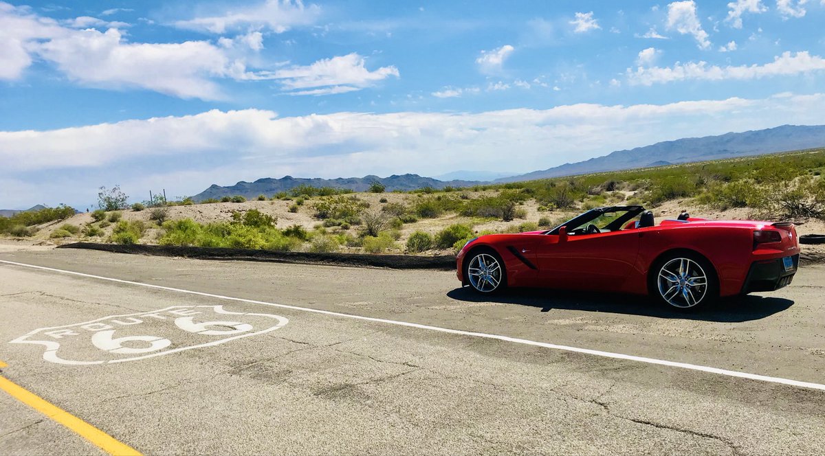 Lee Finishen 🇨🇦 tweet media