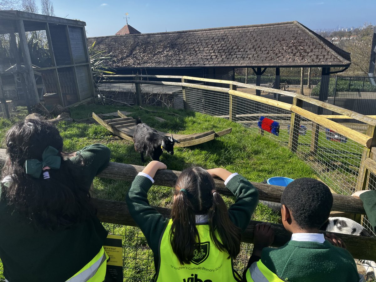 St Andrew's tweet media