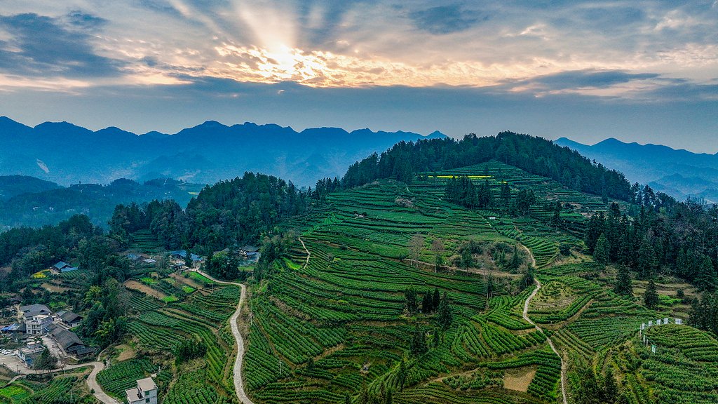 Xu Xueyuan徐学渊 tweet media