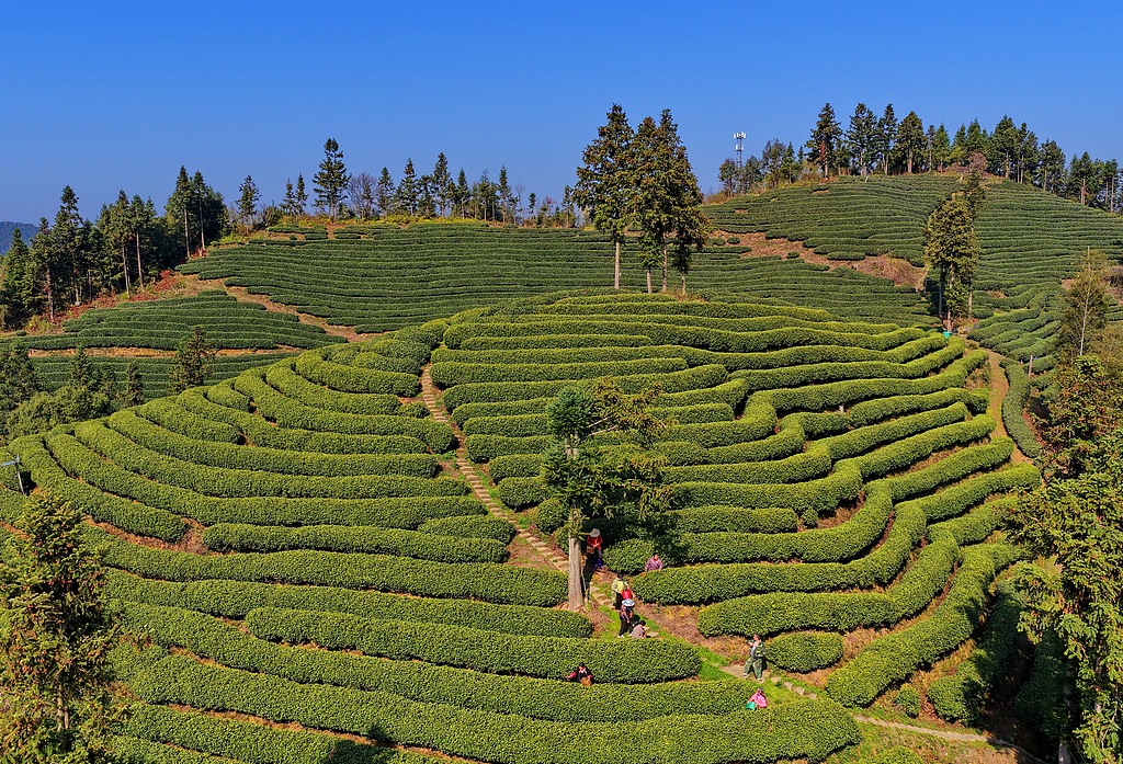 Xu Xueyuan徐学渊 tweet media