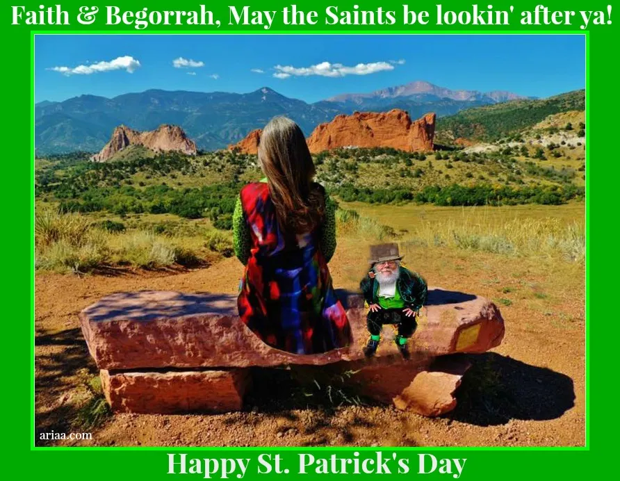 Ariaa ® tweet media