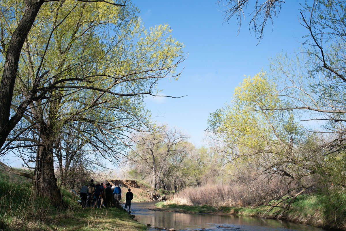 🌎 Celebrate Earth Day with a volunteer project on April 25! Each year Lakewood hosts a community project to help improve the surrounding area. Spend your Earth Day with us caring for the environment! 

Register: shorturl.at/eEmVG