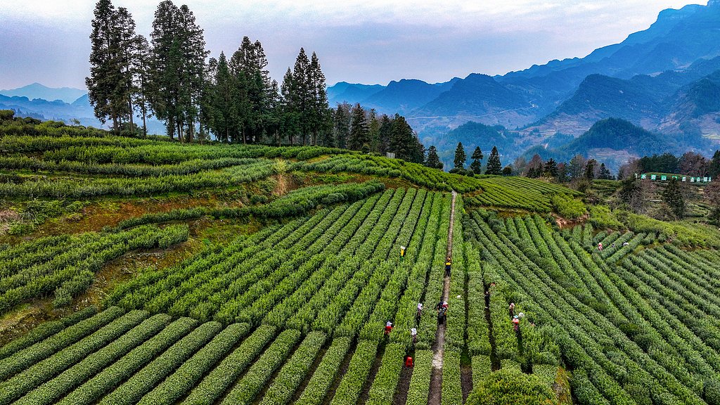 Xu Xueyuan徐学渊 tweet media