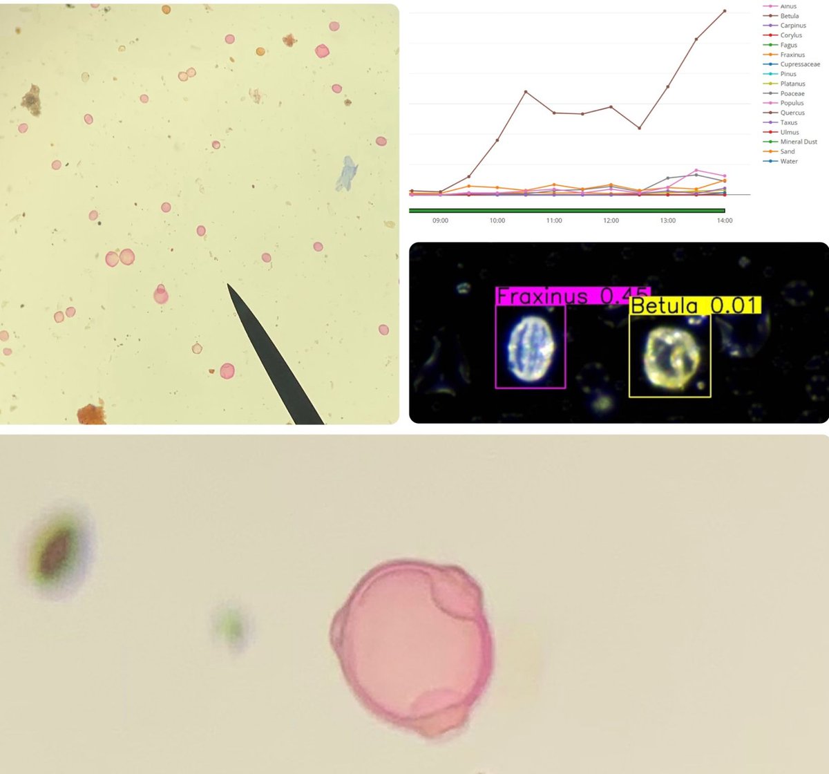 France Pollens tweet media