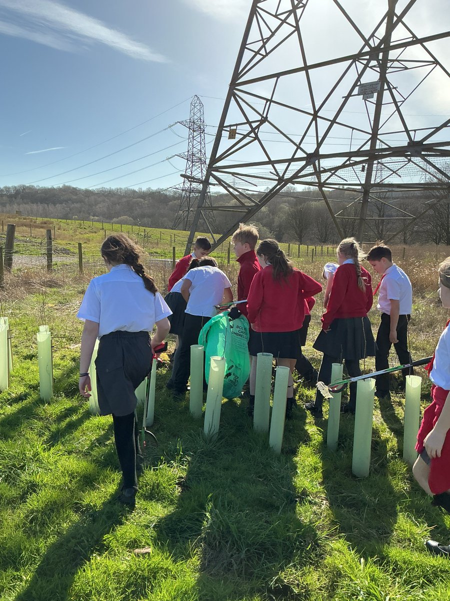 St Saviour CE School tweet media