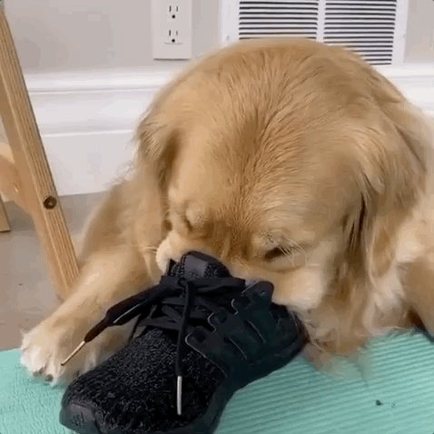 Eric James tweet media