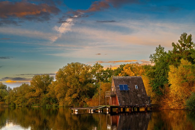 Sharon Bollini tweet media