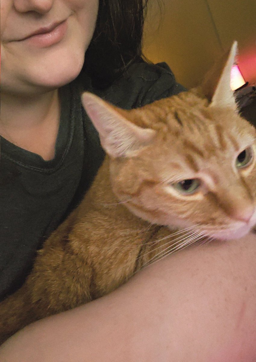 Sneaky ♡ tweet media