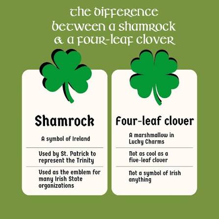 Tåb Näbs tweet media