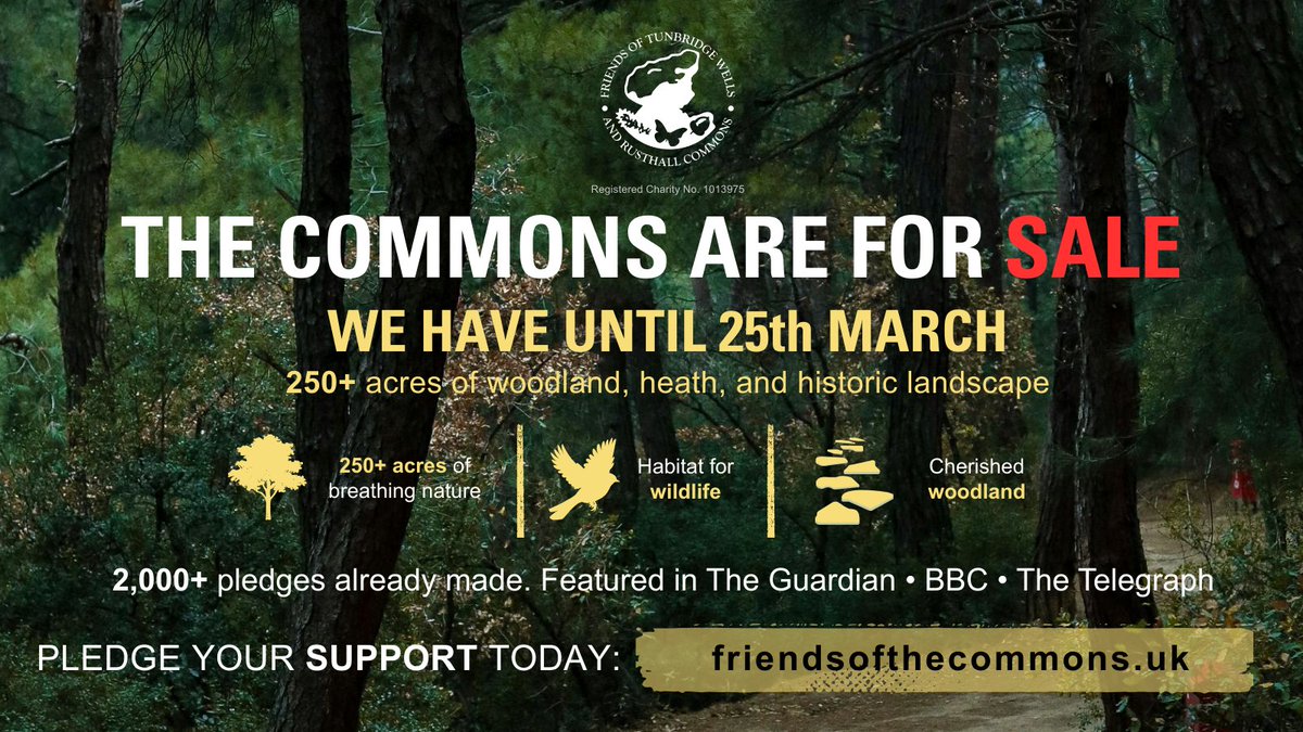 Michaela Strachan tweet media