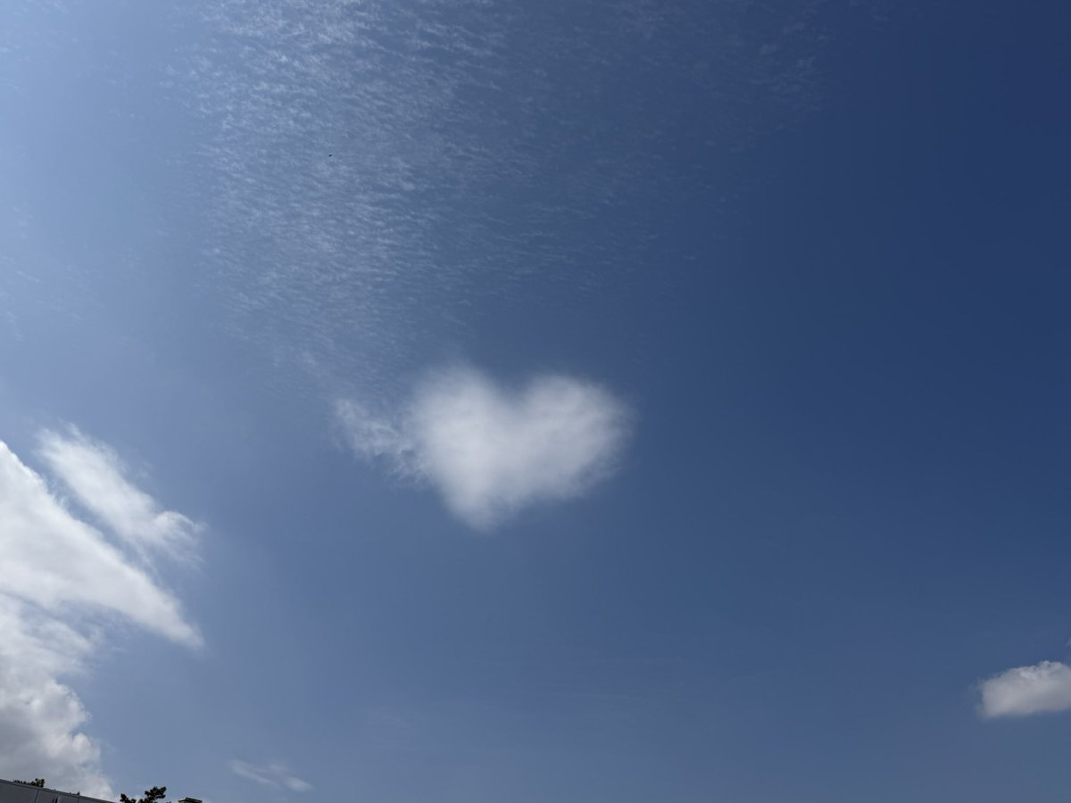 今日（昨日）ふわふわのハート🤍を見たよ