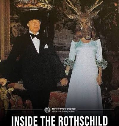 The Original Acadian Shepherd tweet media