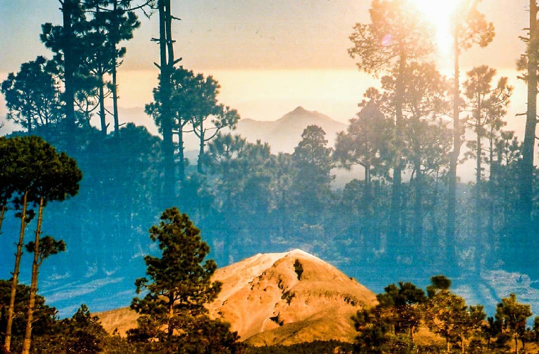 Iram Ortega 👁 tweet media