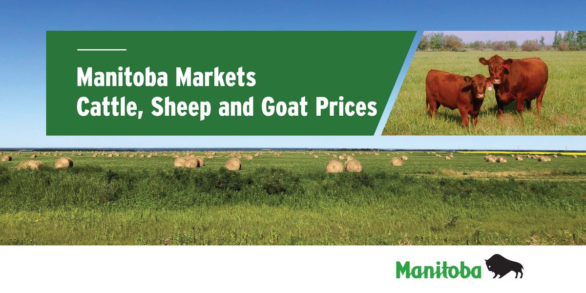 Manitoba Agriculture tweet media