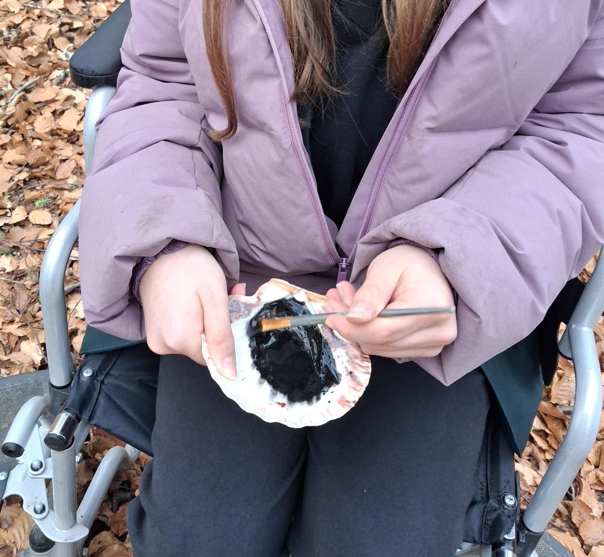 The Alba Explorers tweet media