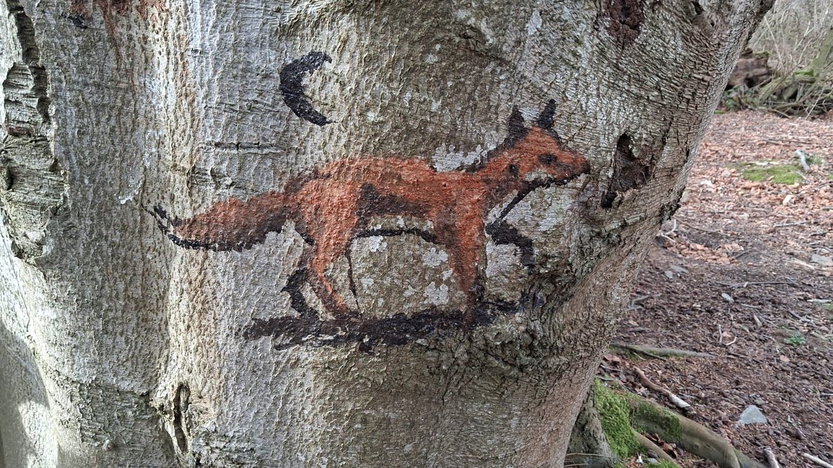 The Alba Explorers tweet media