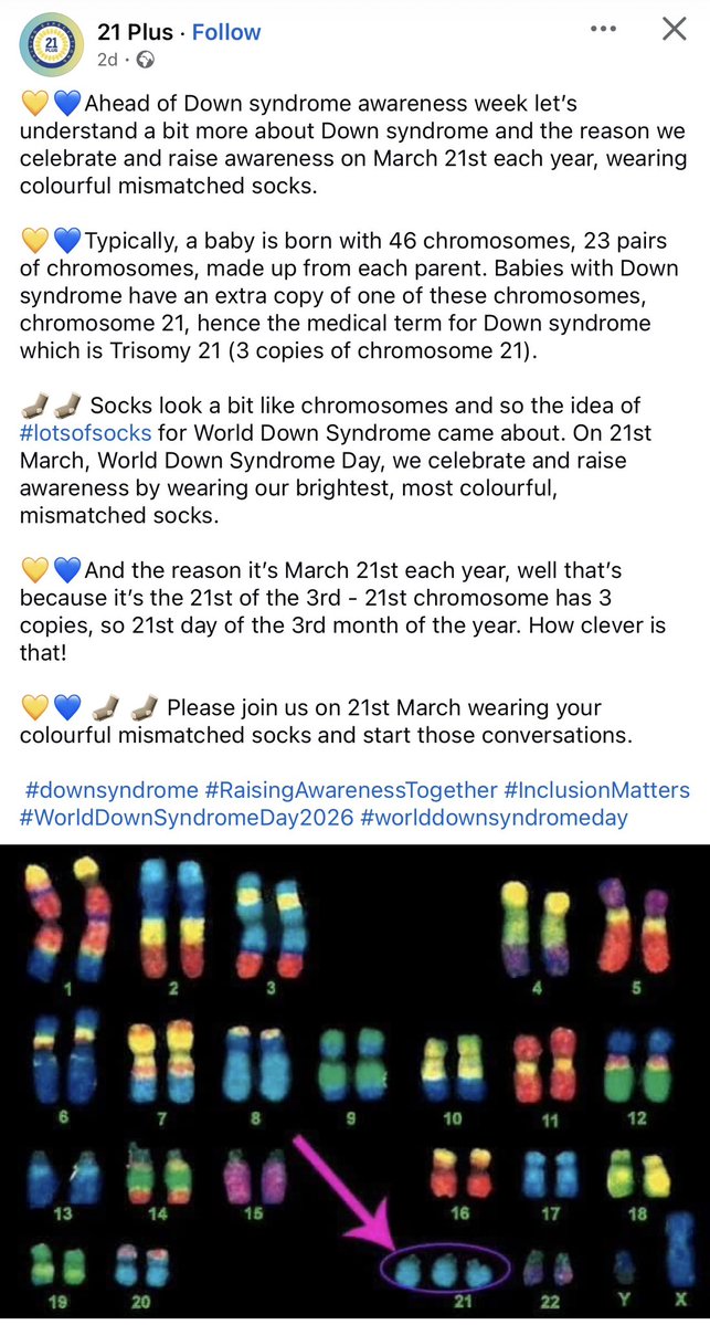 Ups Not Down's tweet media