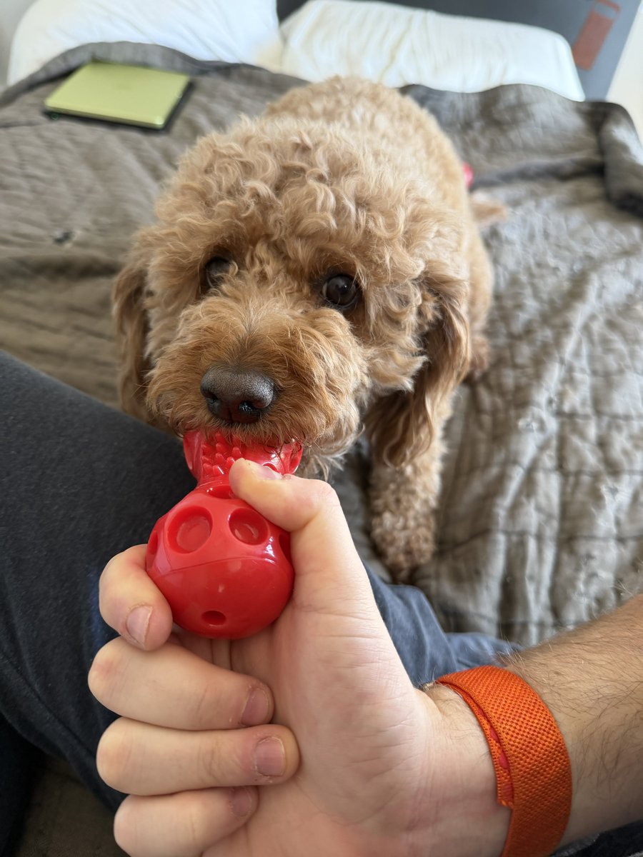 Max Weinbach tweet media