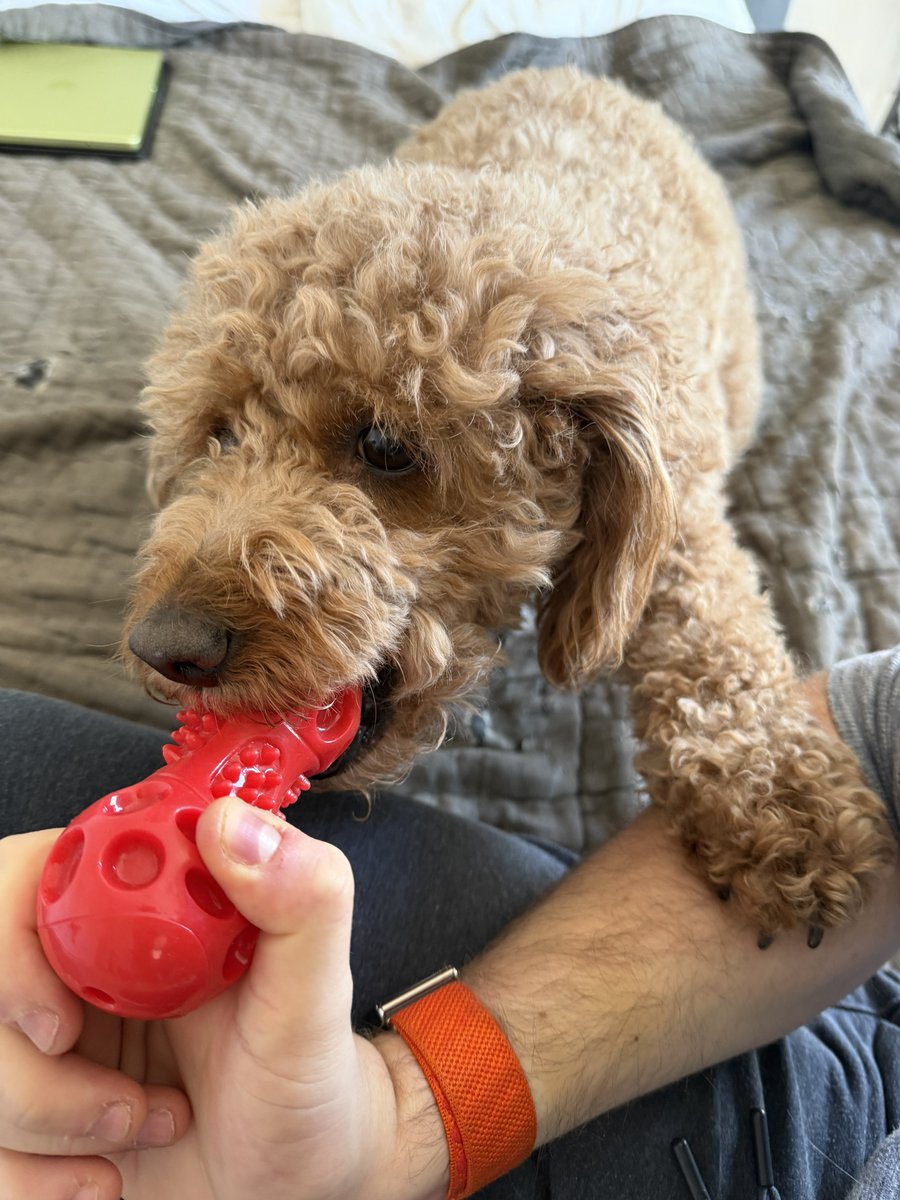 Max Weinbach tweet media